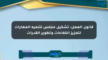 قانون العمل: تشكيل مجلس لتنمية المهارات لتعزيز الكفاءات وتطوير القدرات